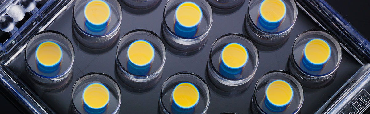 Precision Optics from 2 mm to > 10" diameter