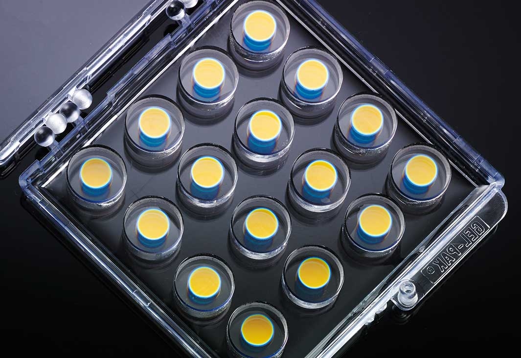 IBS Coatings